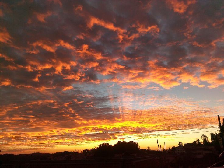 Francesca Elisa Olivia Angiolini tweet media