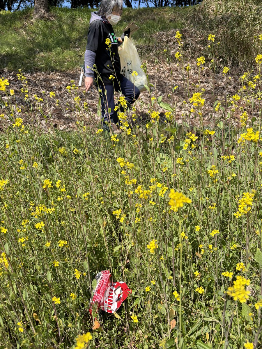 Cleanify japan - HEM tweet media