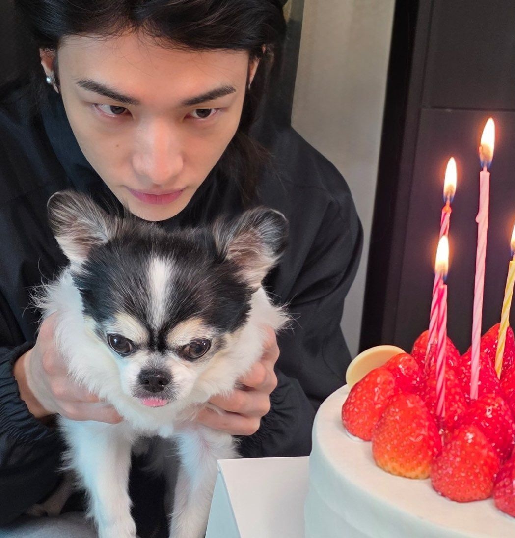 — nai 🌹 tweet media