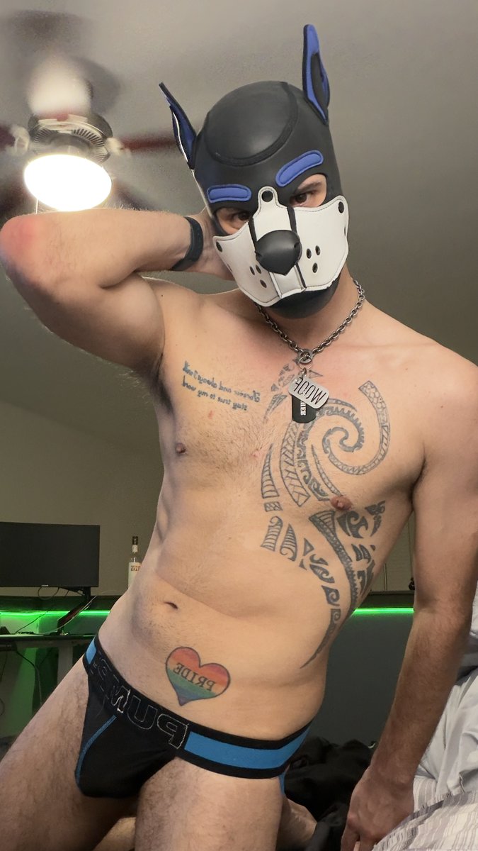 ArcherEricks's tweet photo. Thought id try something differnt and post something on here its been a while.😅#gay #gaydog #gaypup #puppyplay #feelgood https://t.co/9guZGRAWd8
