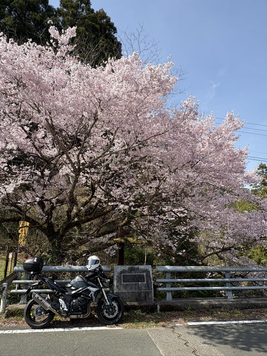 WEEKEND RIDER 週おじ【motovlog】 tweet media