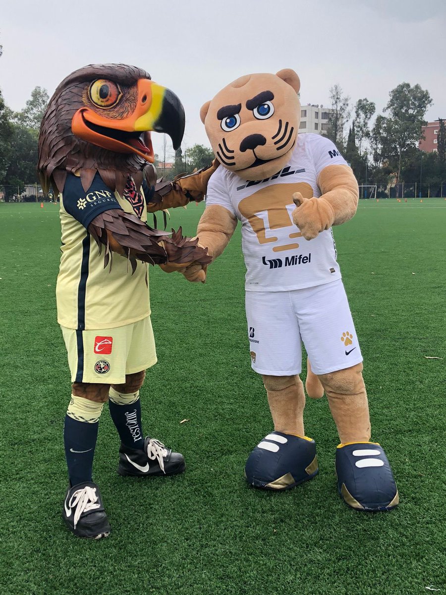 Diego #FueraSancho tweet media