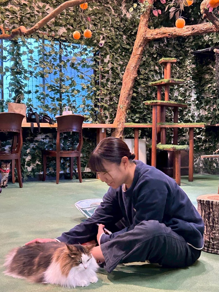 yuyc171's tweet photo. 次に紹介するのはユウリ❗️
ヨット部随一の変人⁉️
独特な感性と言葉で場を和ます☺️
優しくて楽しい縁の下の力持ち、ユウリ💪‼️

ポジション:スナイプクルー
学年:新3年生
学部:農学部
高校の部活:バドミントン部

#春から山口大学 https://t.co/7E0gznaTSW