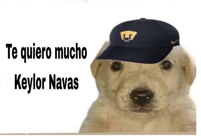 El Eitri tweet media