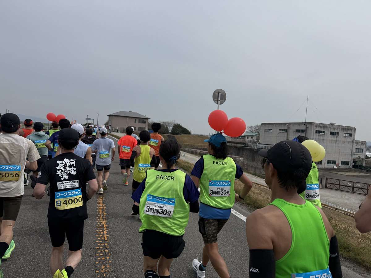 Hiker アルパカ tweet media