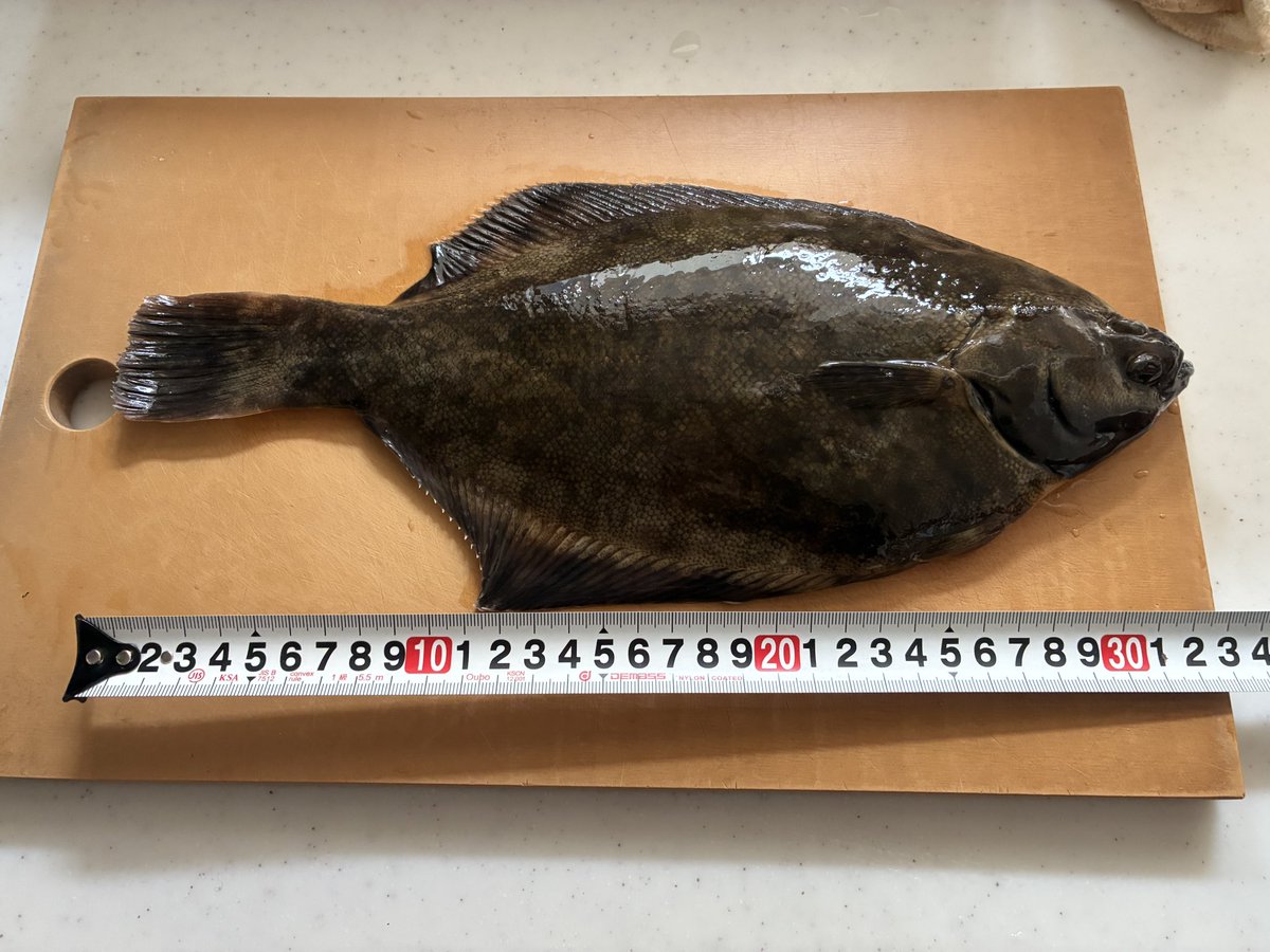 佐藤健司/kobaruto tweet media