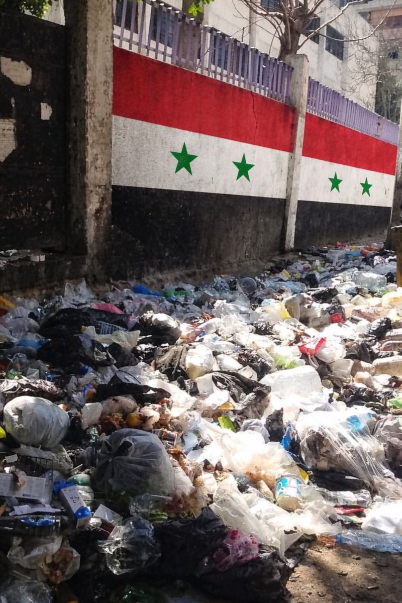 ilen🇸🇾 tweet media