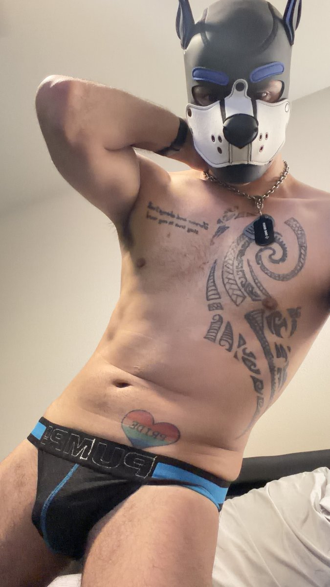 ArcherEricks's tweet photo. Thought id try something differnt and post something on here its been a while.😅#gay #gaydog #gaypup #puppyplay #feelgood https://t.co/9guZGRAWd8