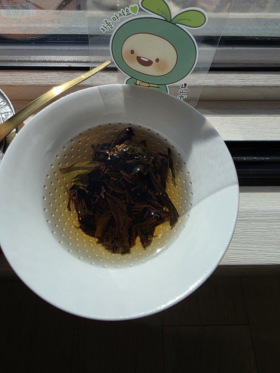 하로모🌙🎃🧙‍♀️ tweet media