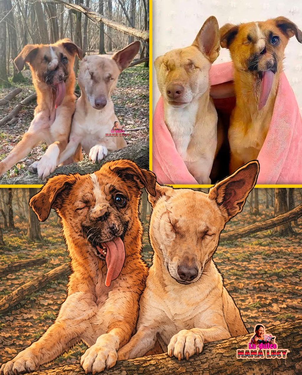 Liliana!! ⭐❤️☕ tweet media