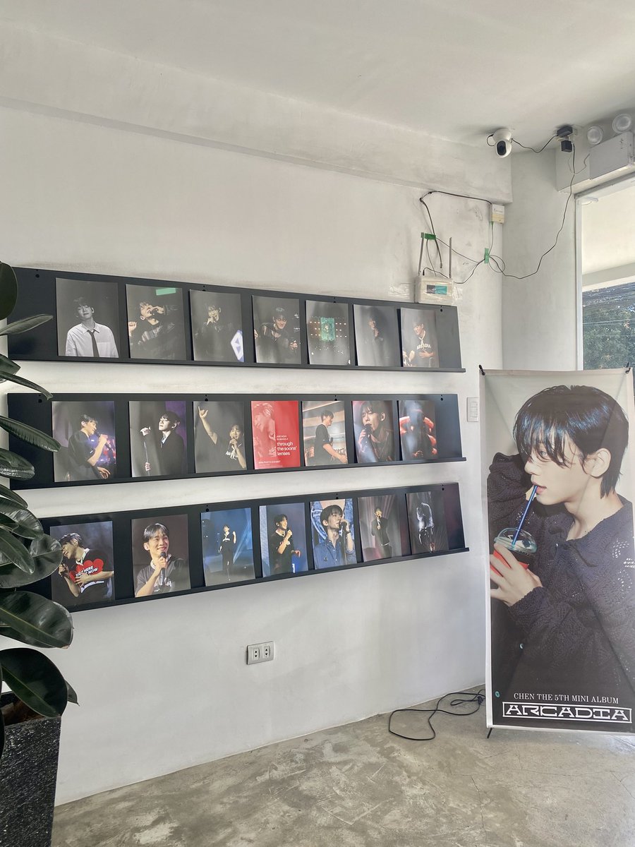 tala ⭐️ tweet media