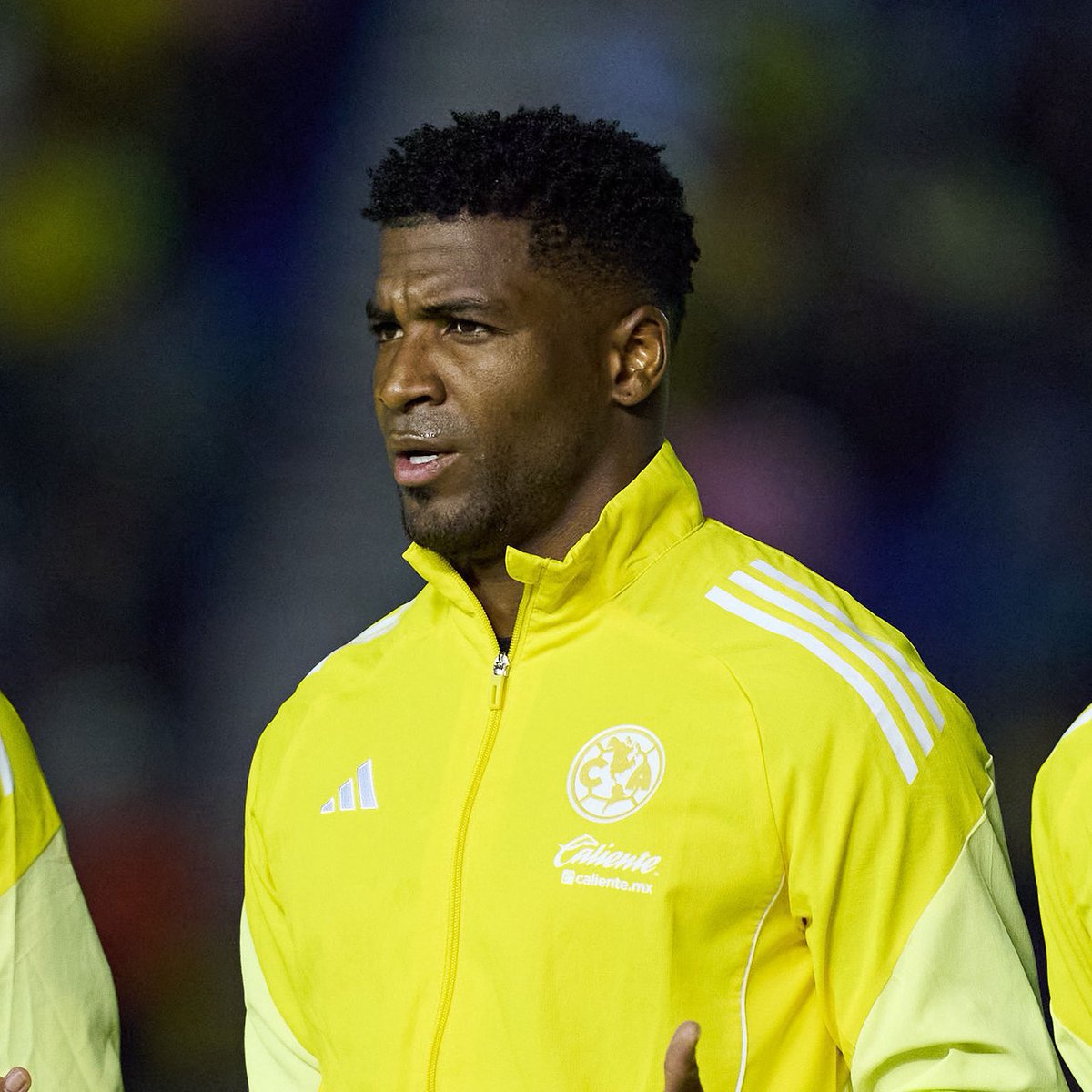 Alan Looz tweet media