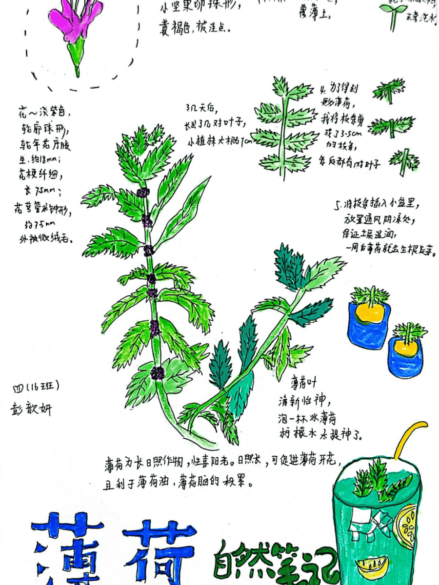 Jamall E. Fisher tweet media