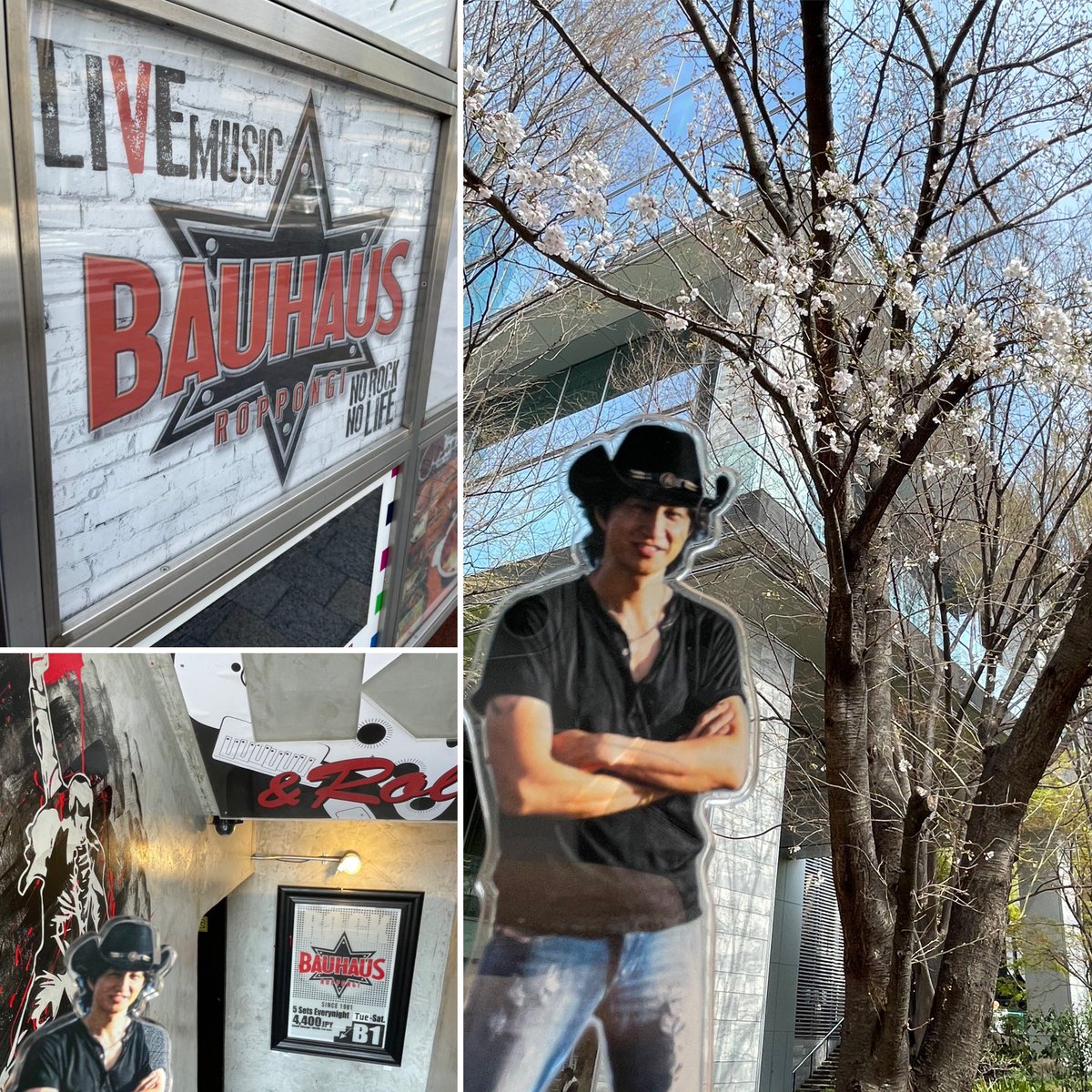azukiAkisama's tweet photo. #WildFour 2026 @ 東京 バウハウス
#増田隆宣 #田中一光 #大賀好修 #徳永暁人 #W4
4人揃って、Wild four‼️‼️
3年目?は、春と共に始まるLive🌸
何が起きるんだろう🥺
今年もB'z界隈も注目のすっごいバンドが帰ってきた👍👍 https://t.co/lws5F5f9rw