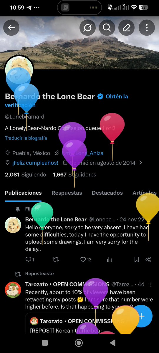 Bernardo the Lone Bear tweet media