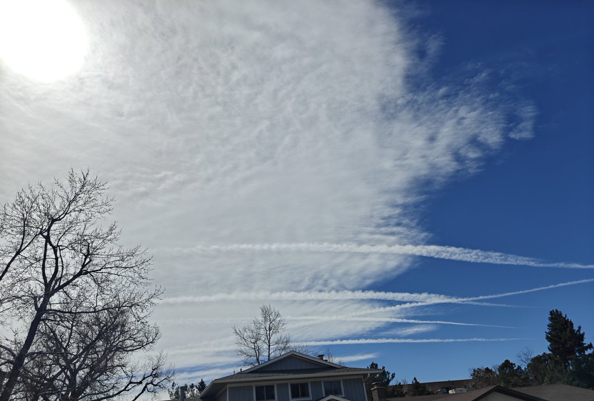 Phauncer Cryoy tweet media