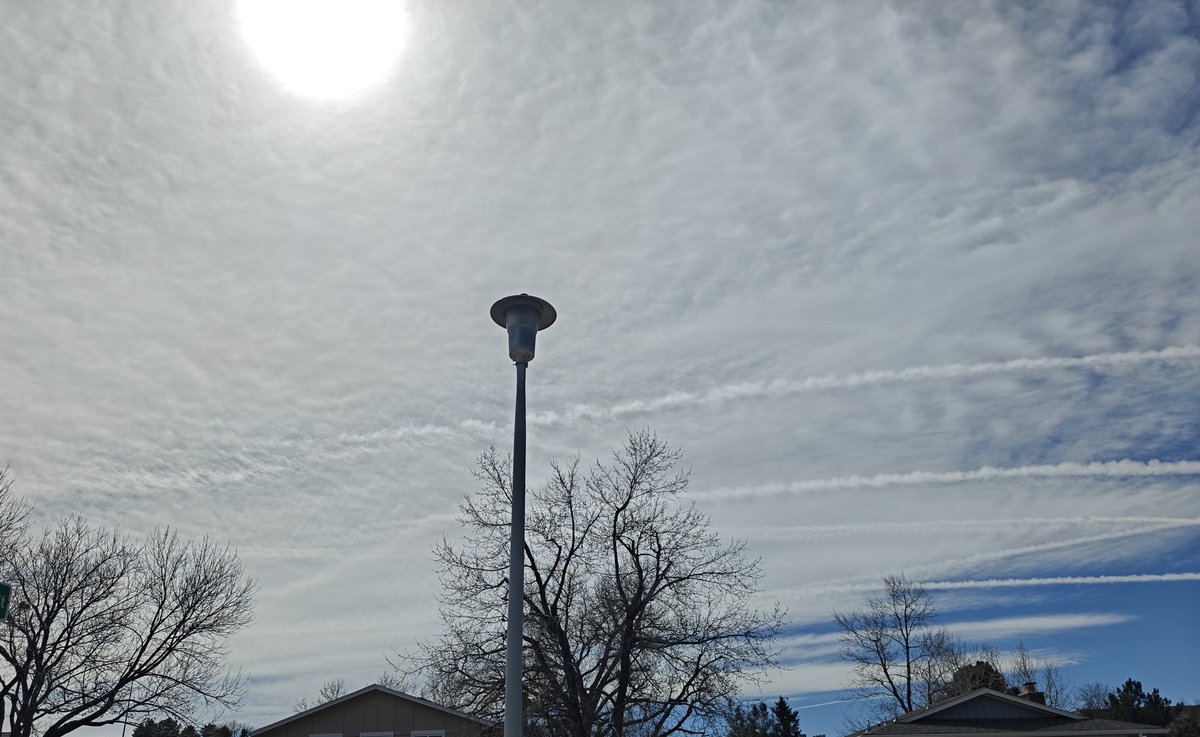 Phauncer Cryoy tweet media