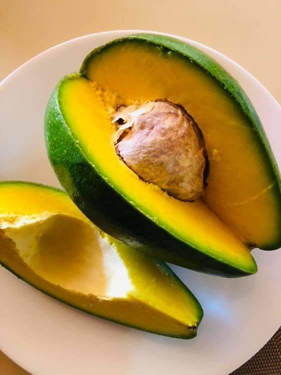 Steff Gariho tweet media