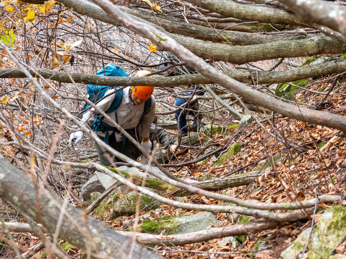 森山憲一 tweet media