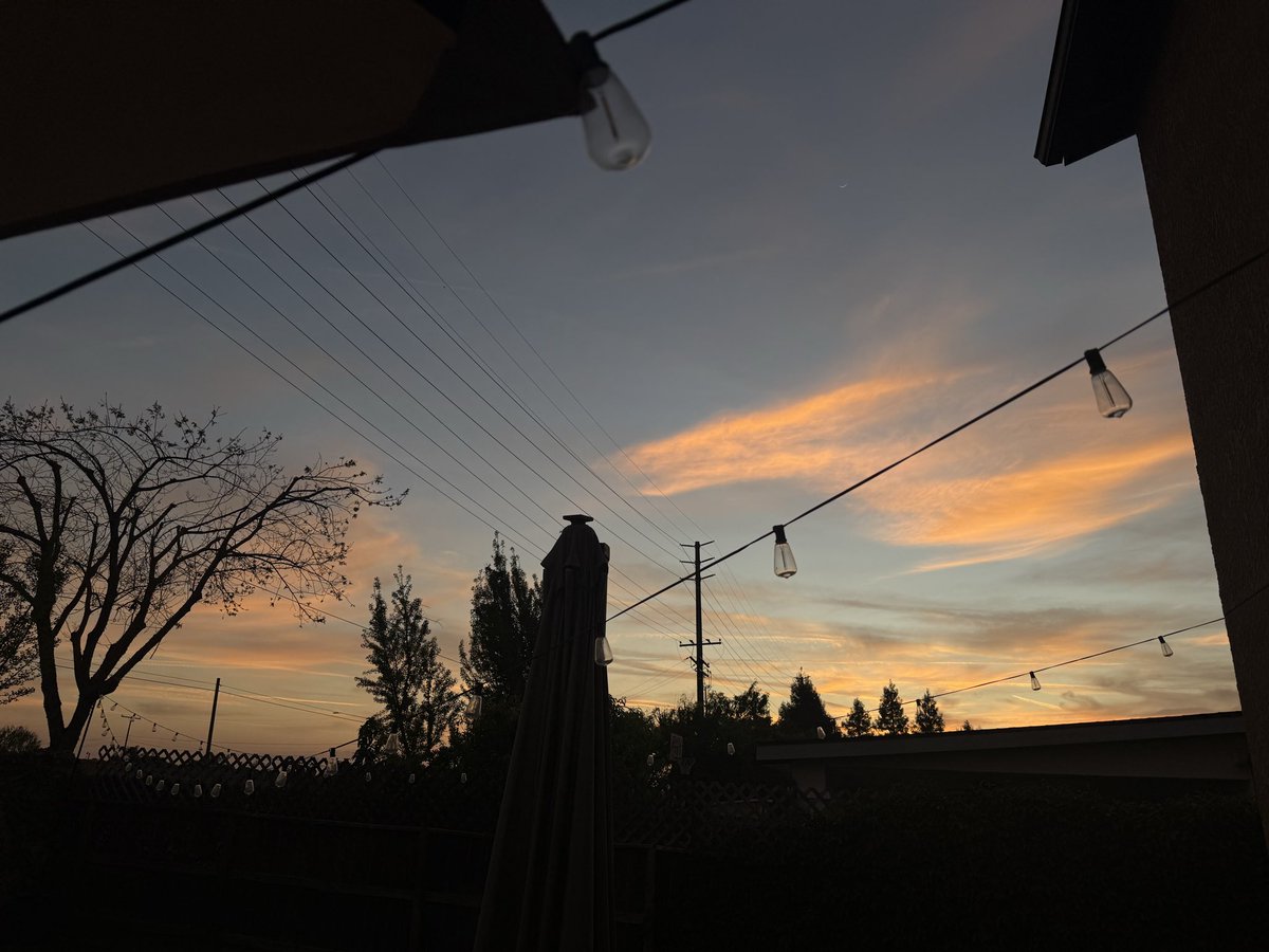 lys ❤️‍🔥 tweet media