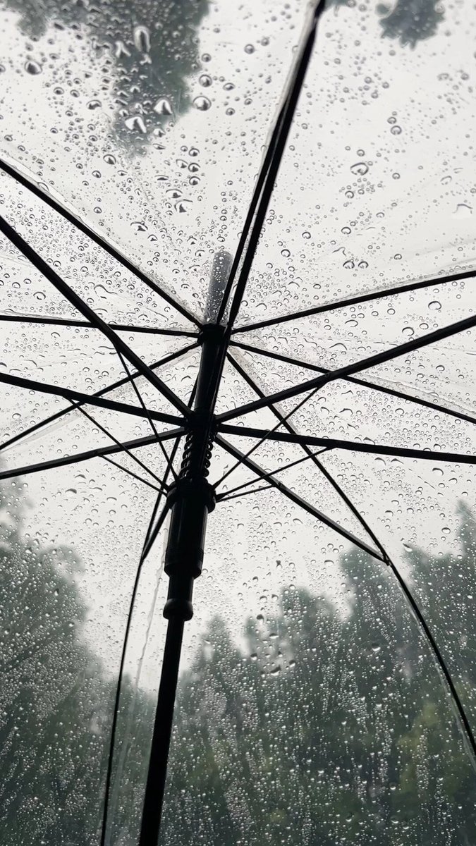 Saad taki tweet media