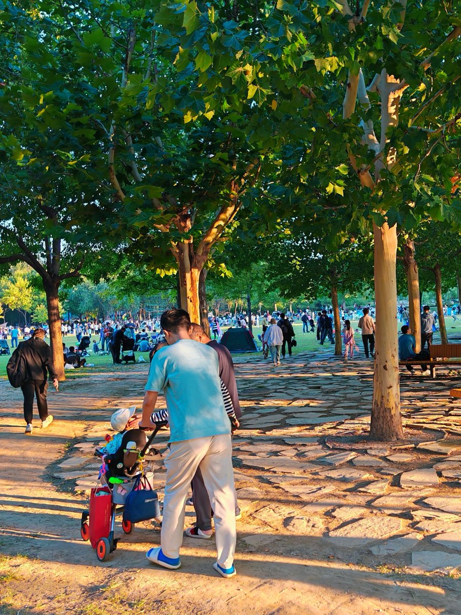 Adam Lim tweet media