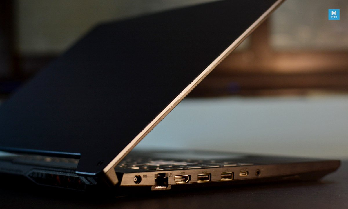 GOLDEN ZONE OGM tweet media