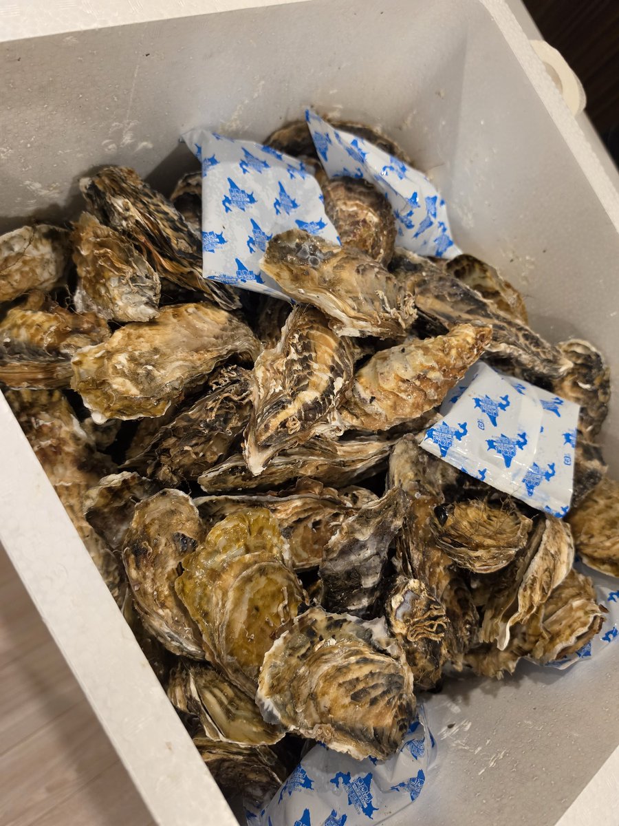 ぶんにょ tweet media