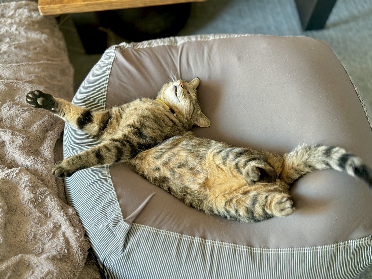 平川哲生 Tetsuo Hirakawa tweet media