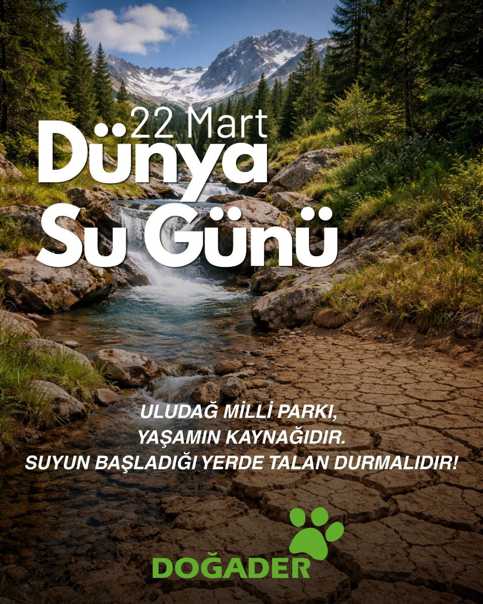 dogader's tweet photo. Uludağ; Bursa’nın suyudur.
Ormanıdır. Geleceğidir.
Bugün kuraklık tehdidi altındaki bir kentte, su daha doğduğu yerde kirletiliyor.
Oteller,madenler,plansız yapılaşma ve rant politikaları Uludağ’ı tüketiyor.
Uludağ korunursa Bursa yaşar.
#DünyaSuGünü #UludağMilliParktır #SuHaktır https://t.co/RtpQ4gz4ix