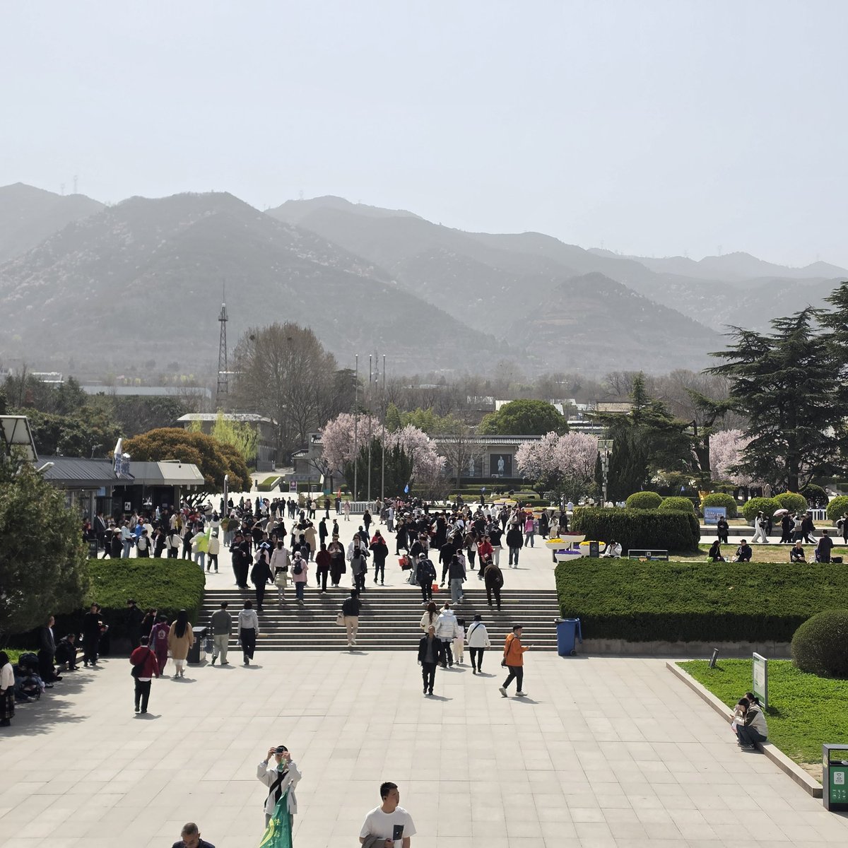 papayatop tweet media