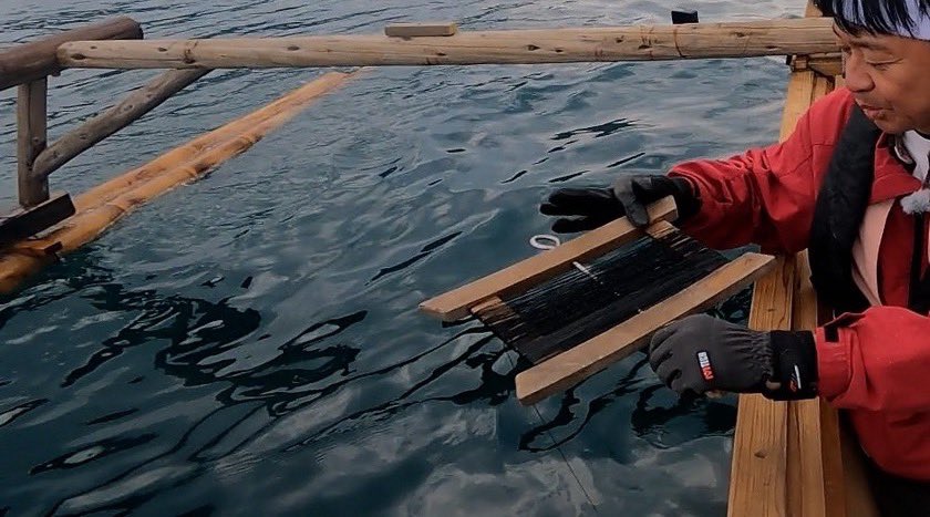 株式会社城島ファーム tweet media