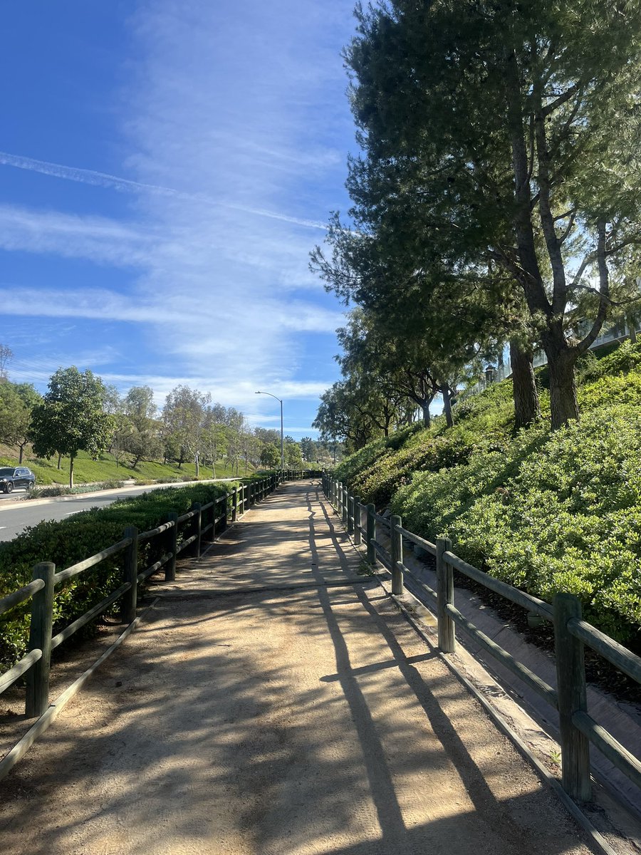 Mike from the OC tweet media