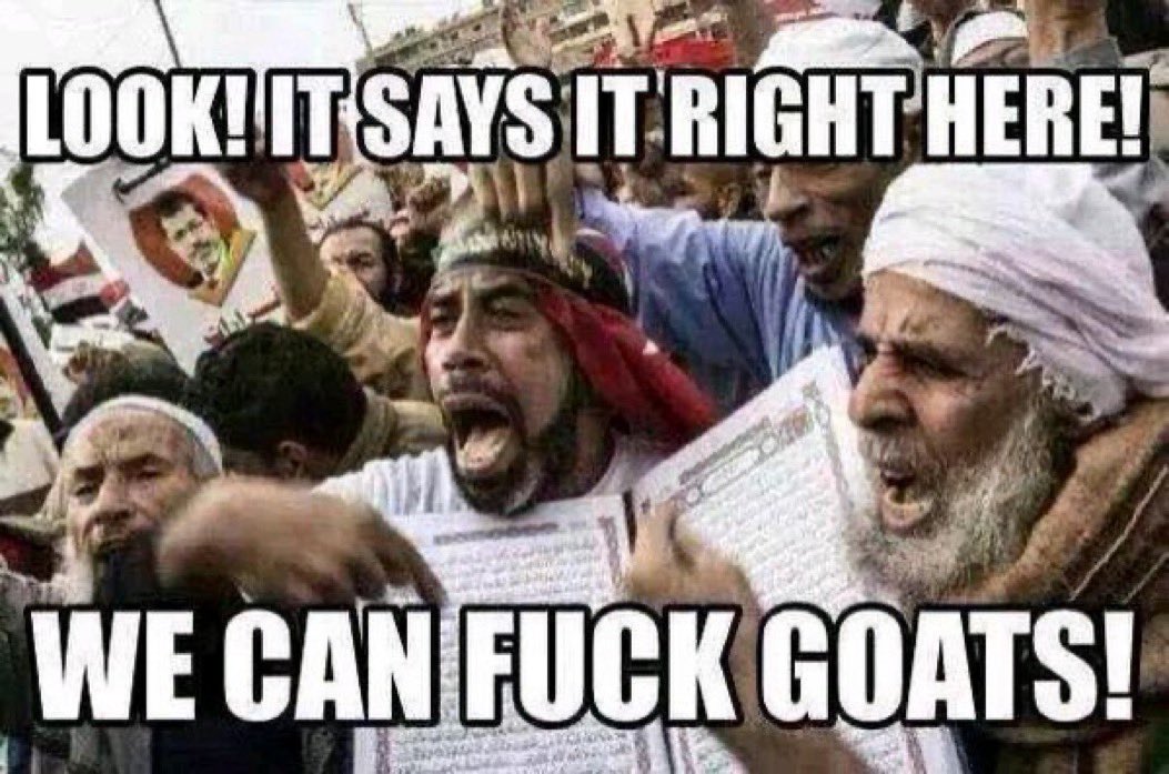 Talvimetsä tweet media