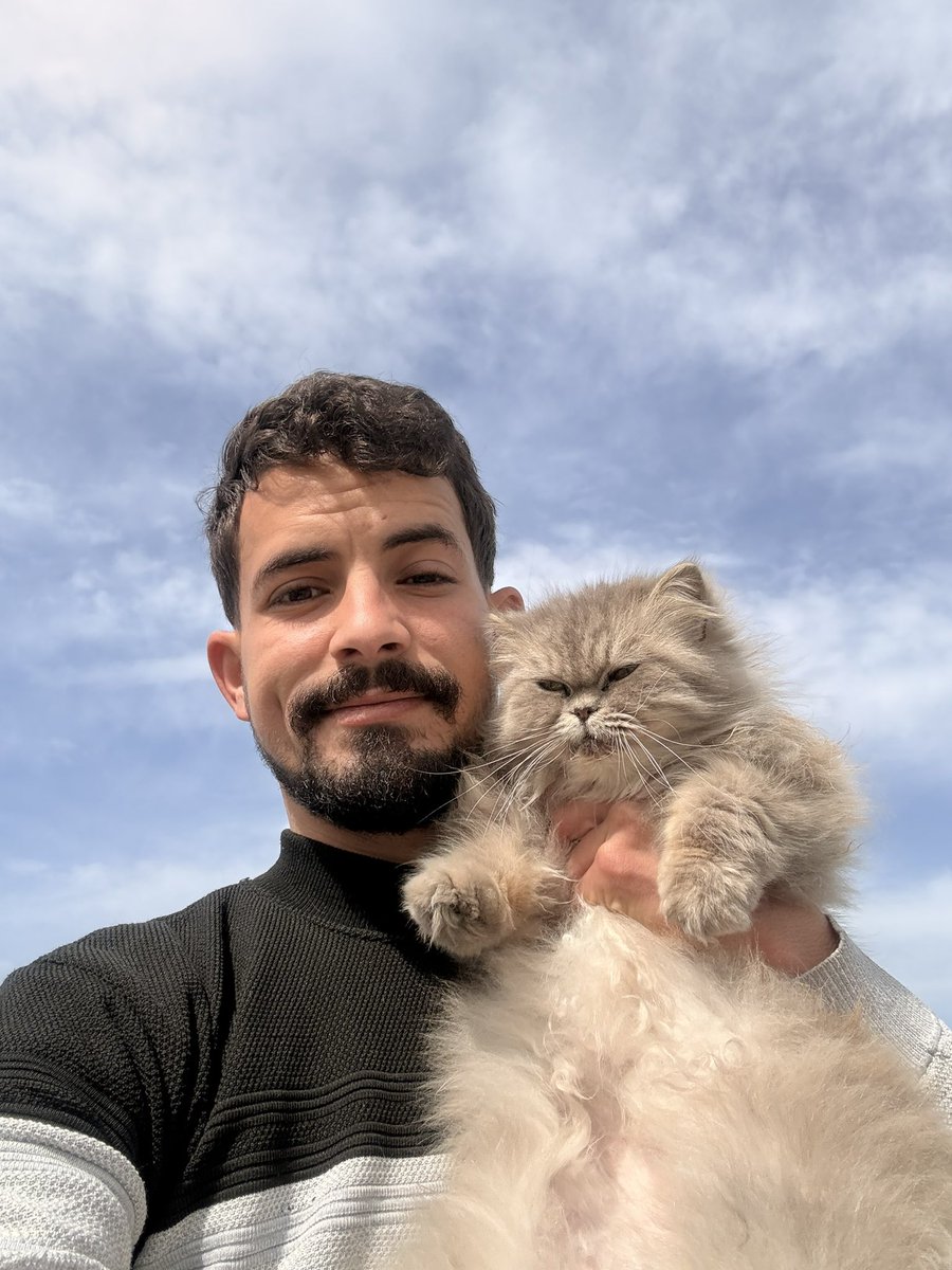 SHARIF 𓂆 tweet media