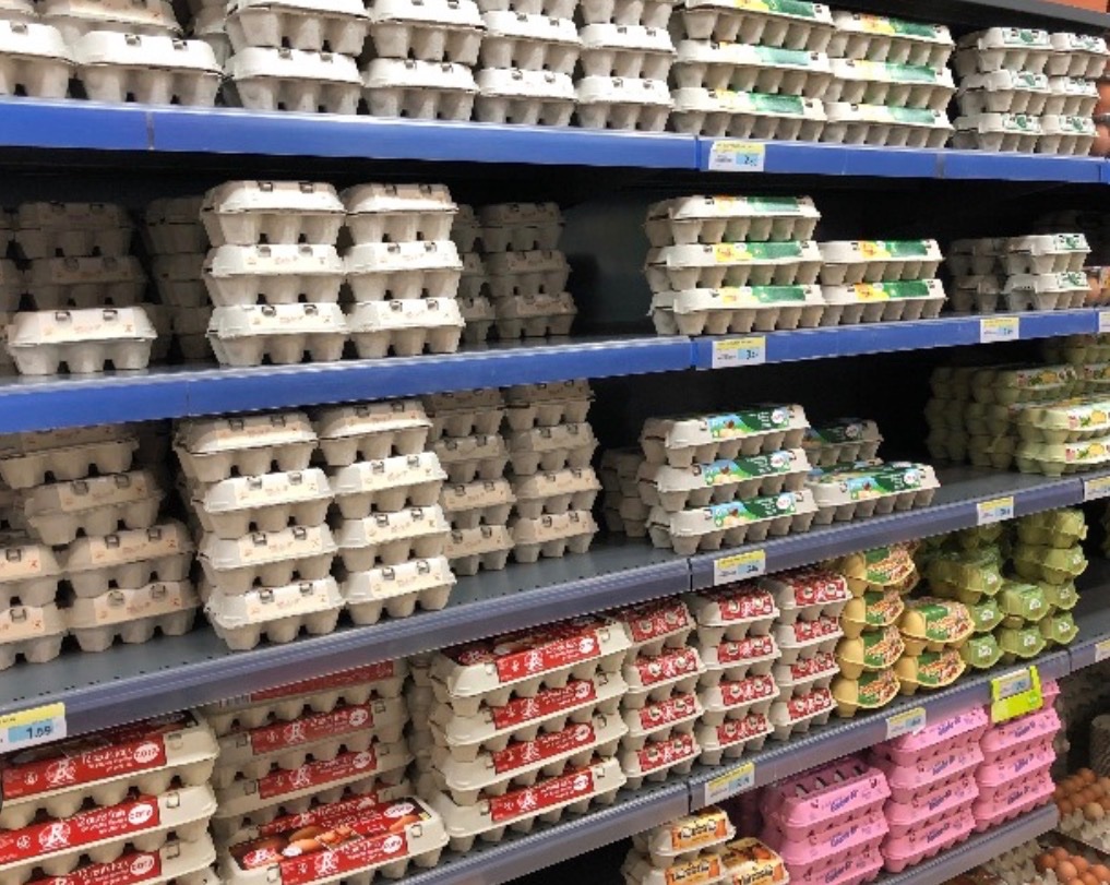 Florence Lox 🇬🇧🏴 tweet media