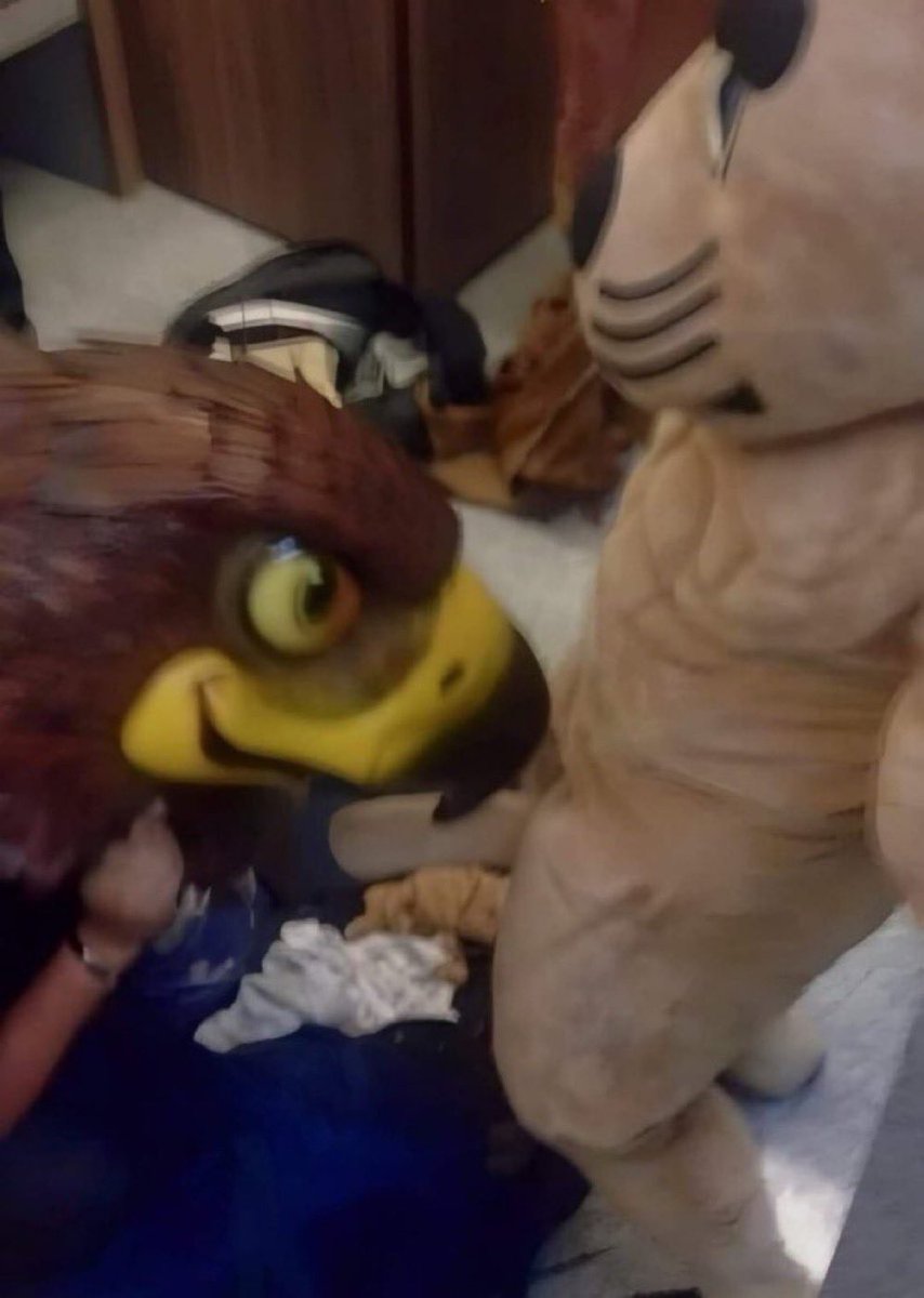 MR.rager puma tweet media