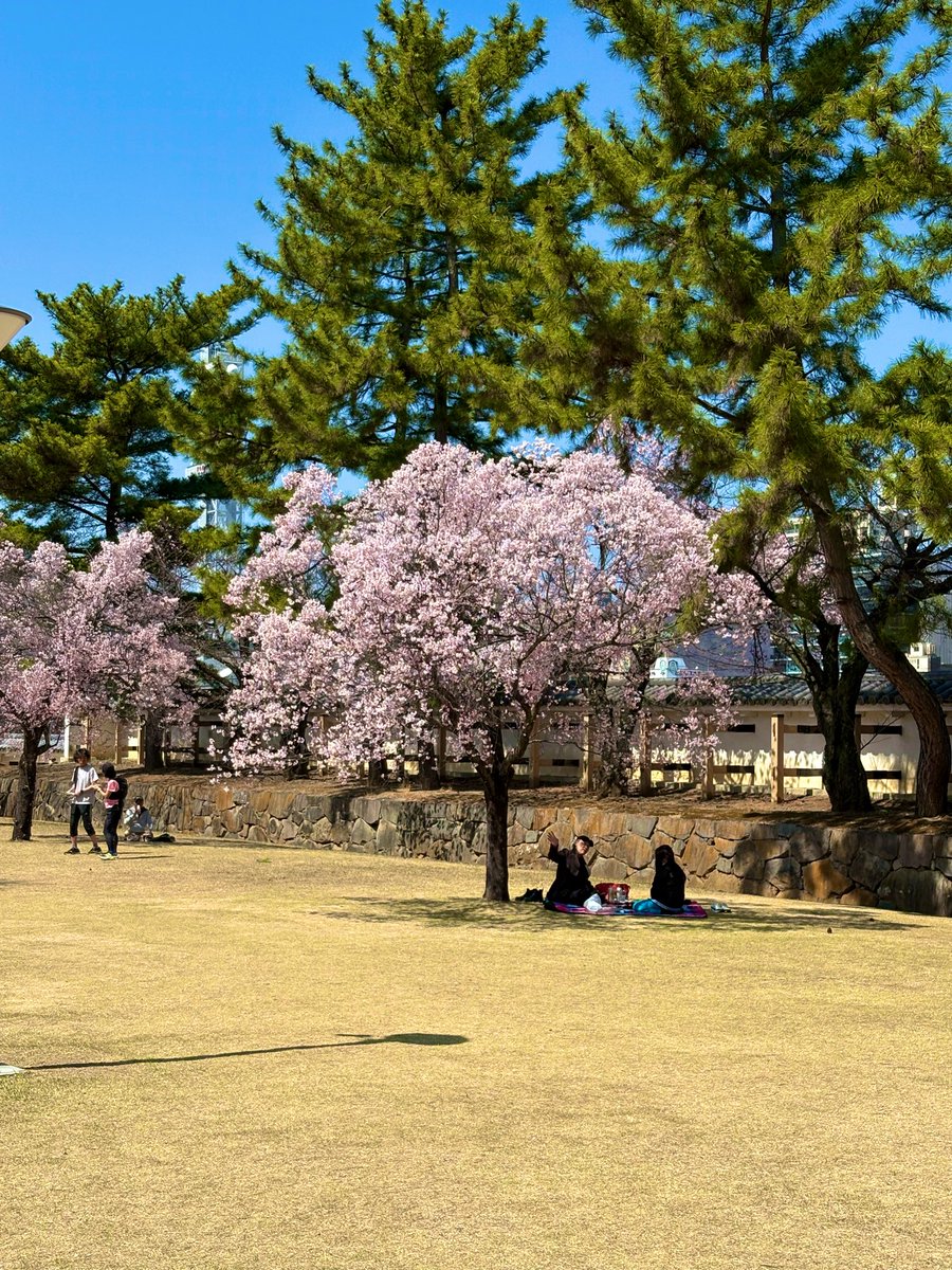 ちゃんこ -ChanCo- tweet media