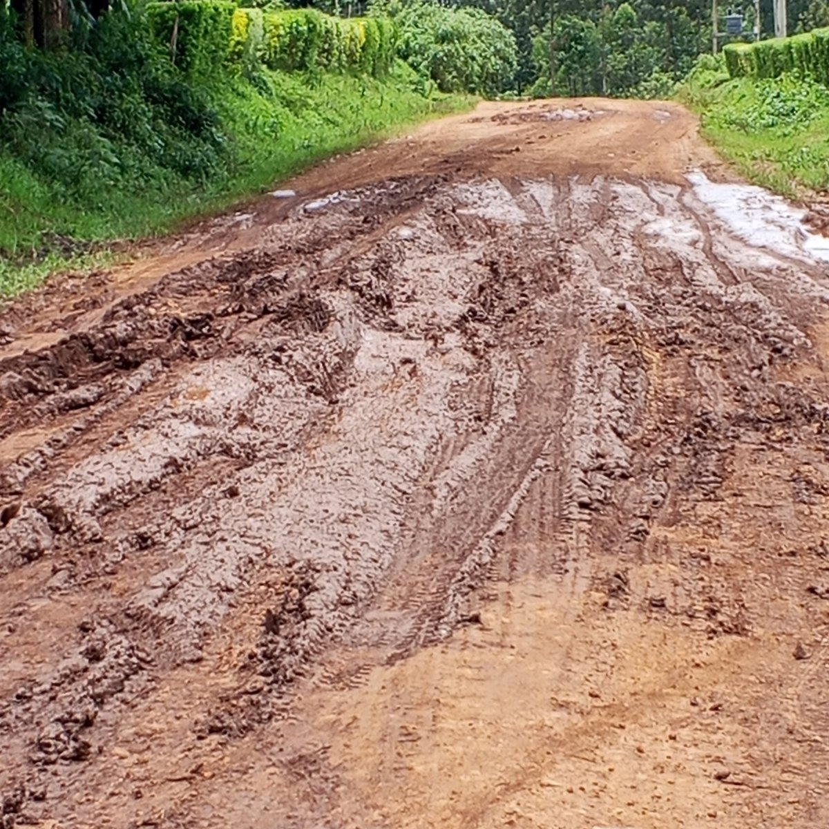 Ⓜ🅷🅴🅽🅶🅰 Ⓐⓛⓘⓑⓐⓚⓘ™🇰🇪 tweet media