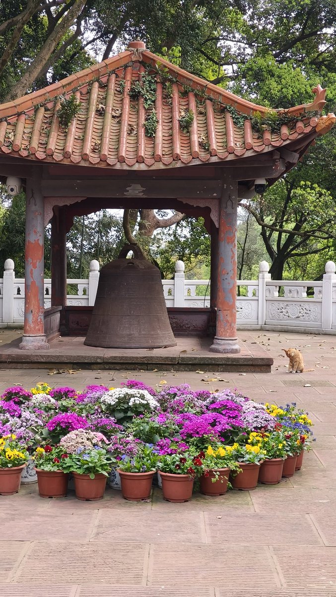 Evanly（互fo） tweet media