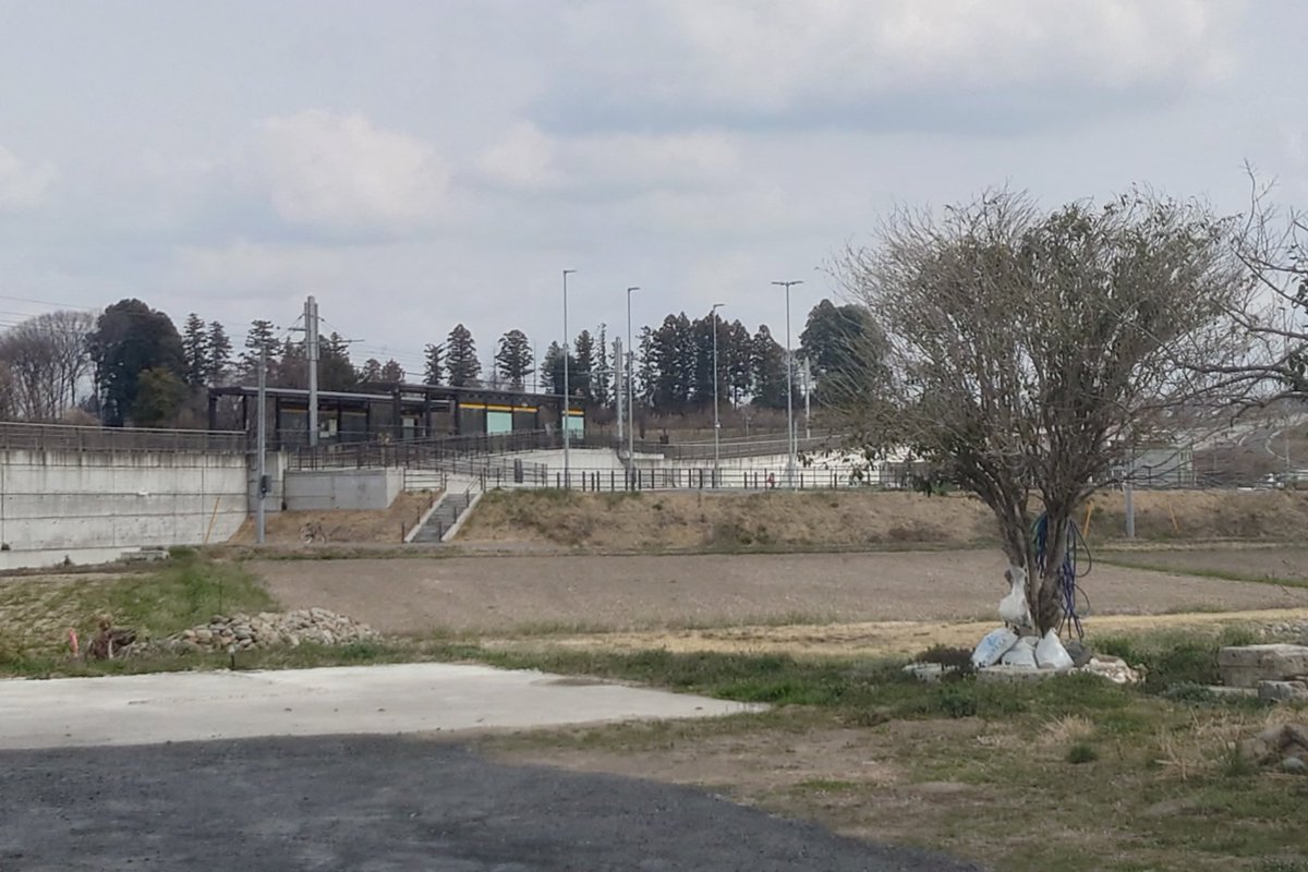 やしお tweet media