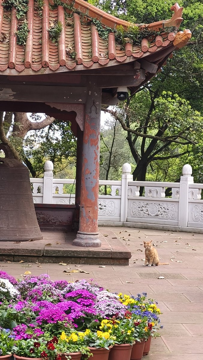 Evanly（互fo） tweet media