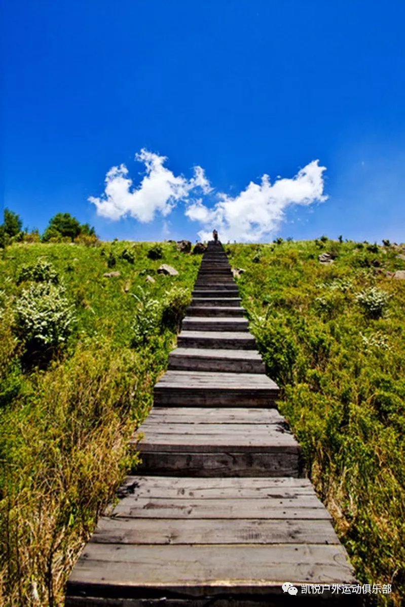 cristobal morales tweet media