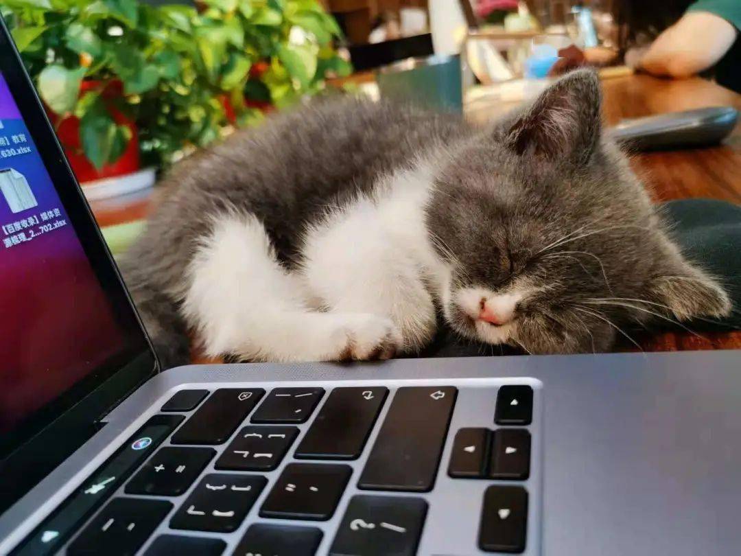 Заур tweet media