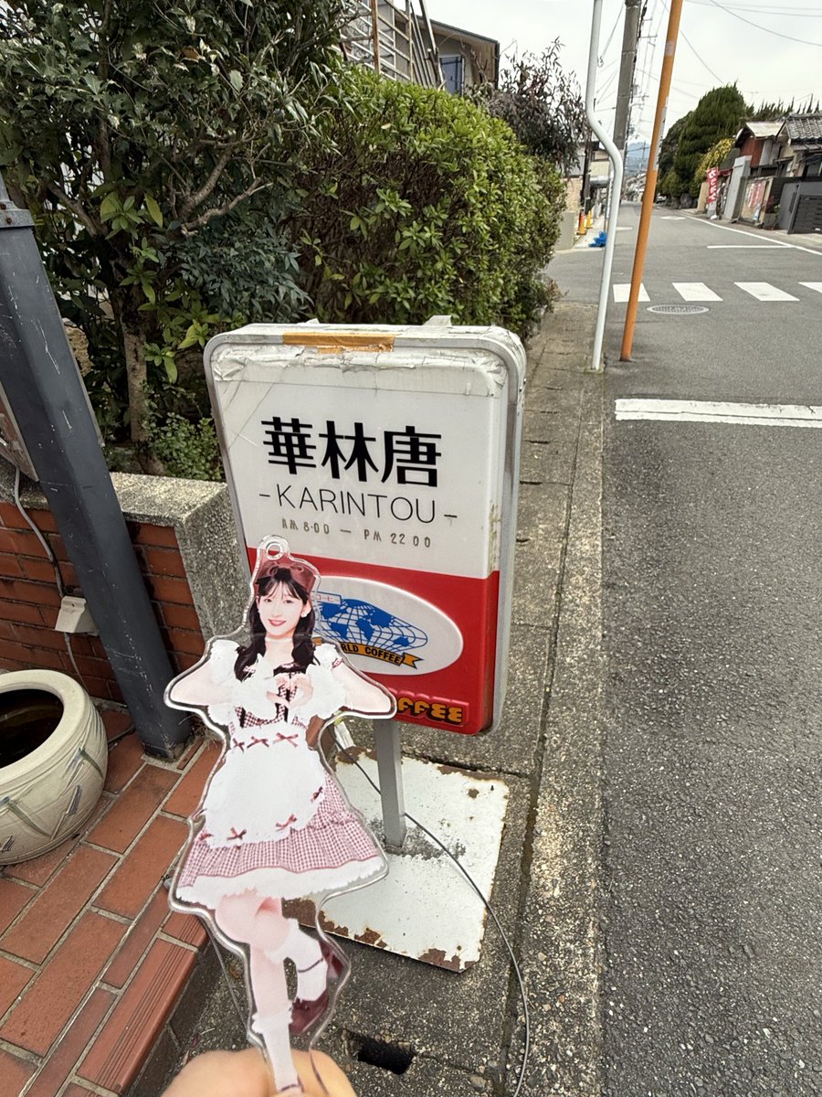 ﾉﾘ･ ｡･ﾘあかね💜🍬🗼 tweet media