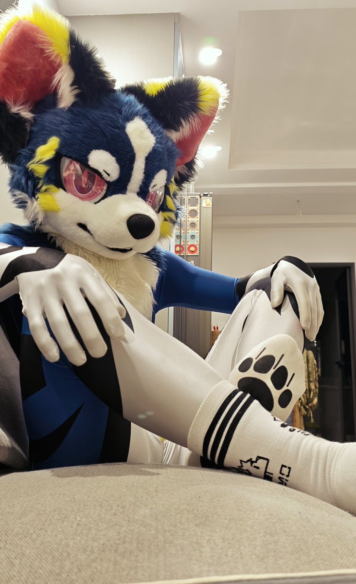 小斯沐 tweet media