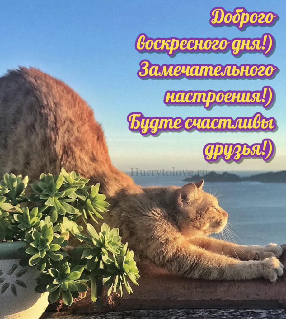 @13tuchka tweet media