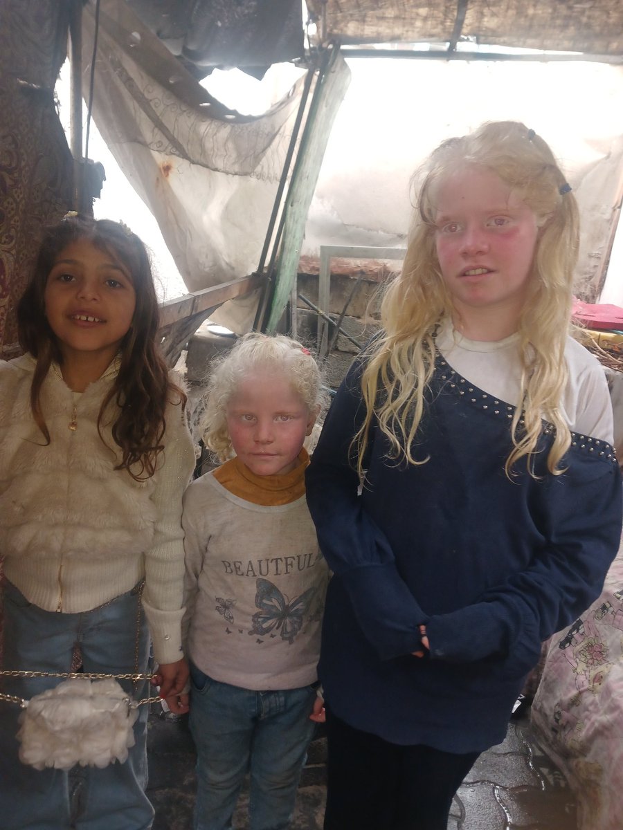 🇵🇸Sabrin albordani tweet media