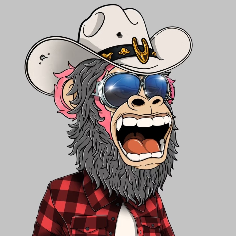 ᴵᴹ Tony❔️🐰🥬👽🦍 tweet media