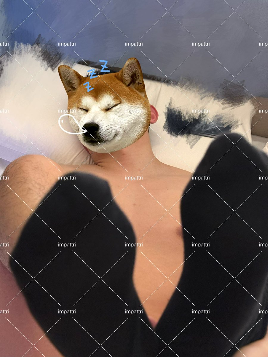 impattri tweet media